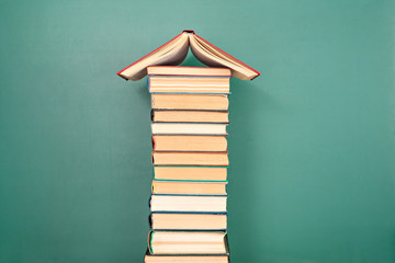 南极生活的动物有哪些