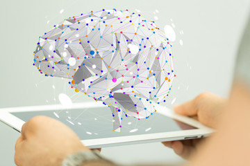 动物的有趣知识有哪些