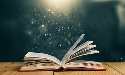 国武功夫会馆的馆长及教练介绍