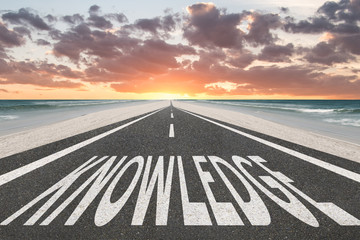 动物兄弟大猩猩超能力第几集