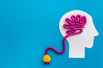 动物的有趣知识有哪些