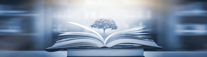 广西单招公办大专学校排名