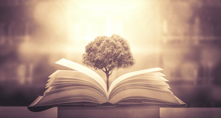 国武功夫会馆的馆长及教练介绍