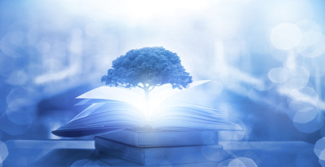 六年级英语复习单词