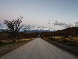 5种“大叶花”你知道吗