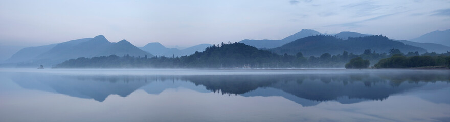 动物的有趣知识有哪些