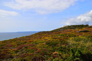 心理健康小知识简短