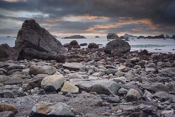国武功夫会馆的馆长及教练介绍