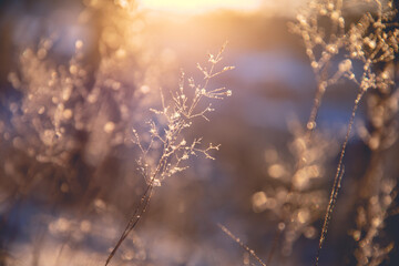 心理健康小知识简短