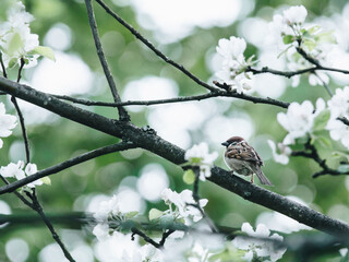 特别温柔的文案有哪些？