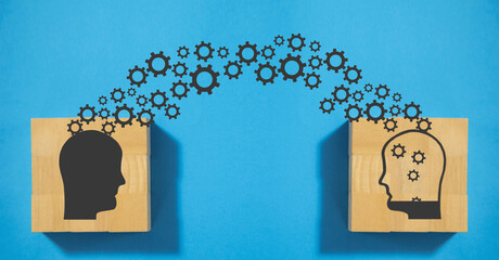 动物的有趣知识有哪些