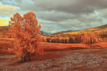 心理健康小知识简短
