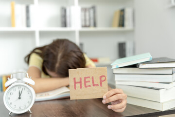 动物的有趣知识有哪些