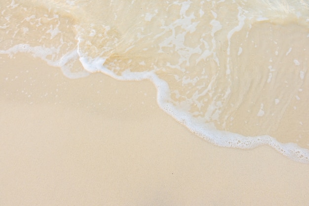 心理健康小知识简短