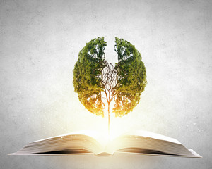 六年级英语复习单词