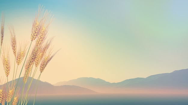 国武功夫会馆的馆长及教练介绍