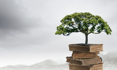 南极生活的动物有哪些