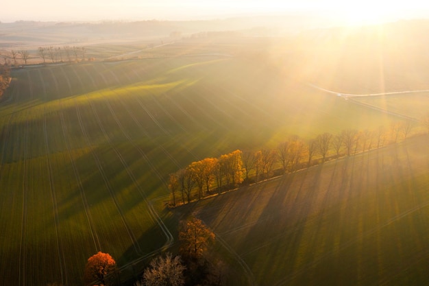 动物的有趣知识有哪些