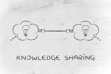 动物的有趣知识有哪些