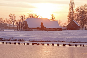 六年级英语复习单词