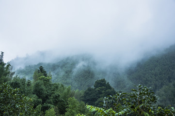 广西单招公办大专学校排名